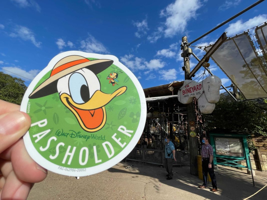 donald-duck-magnet-1