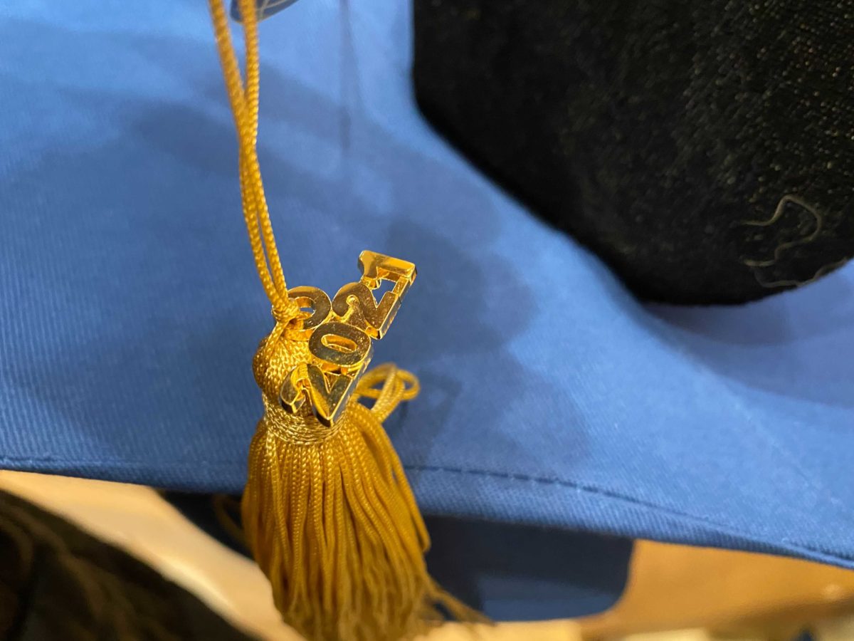 graduation-ear-hat-5