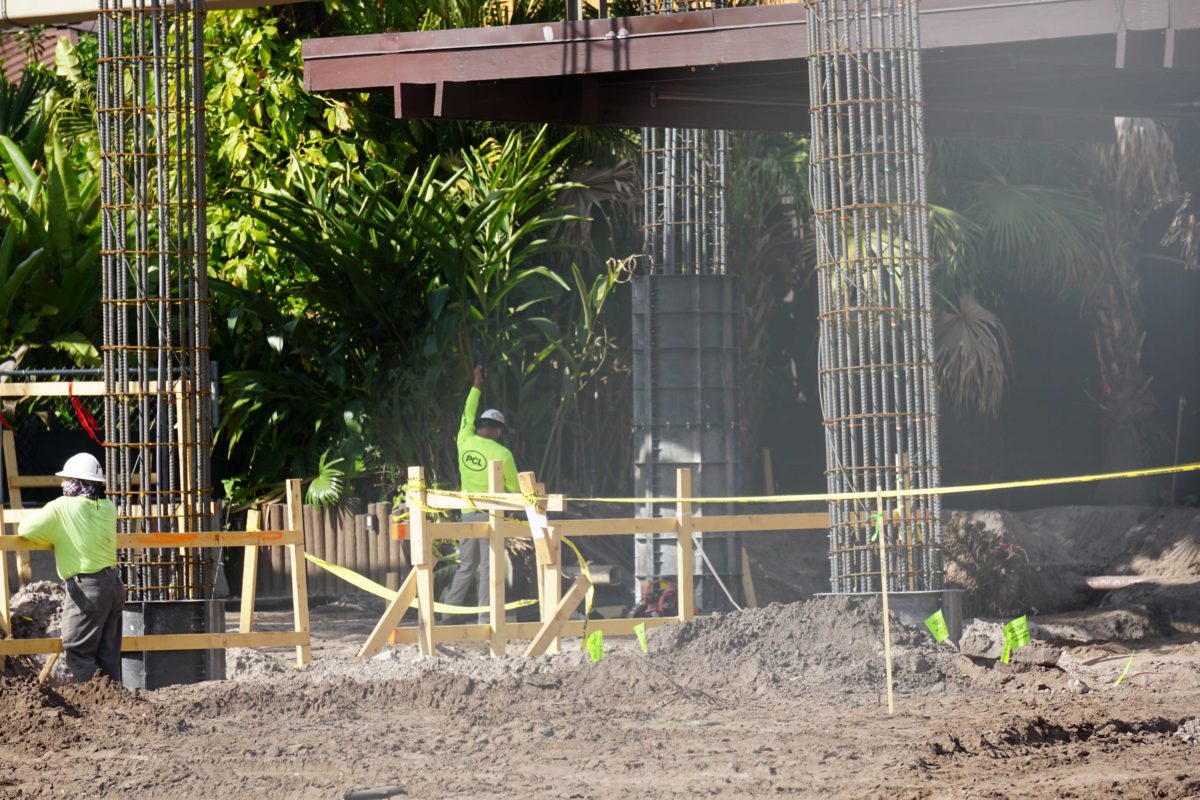 polynesian-02-12-10