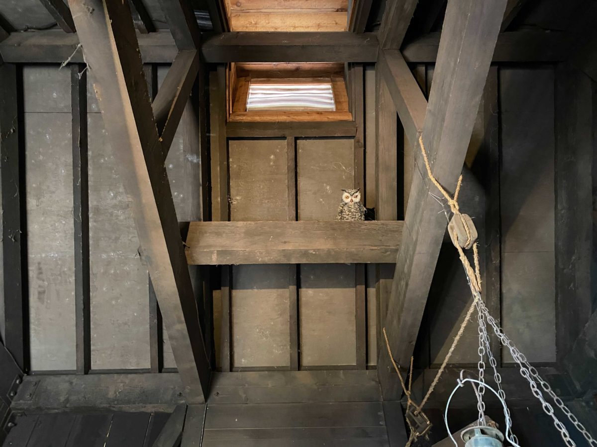 tom-sawyer-island-15