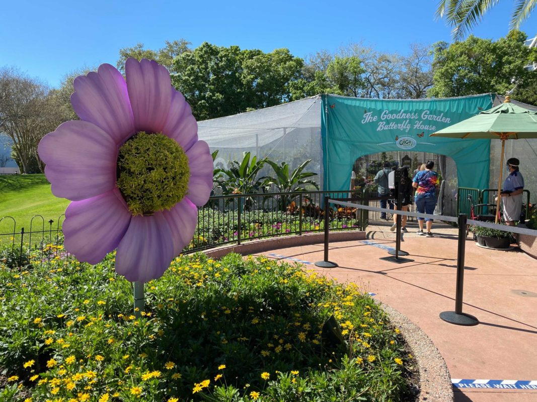 butterfly-house-flower-garden