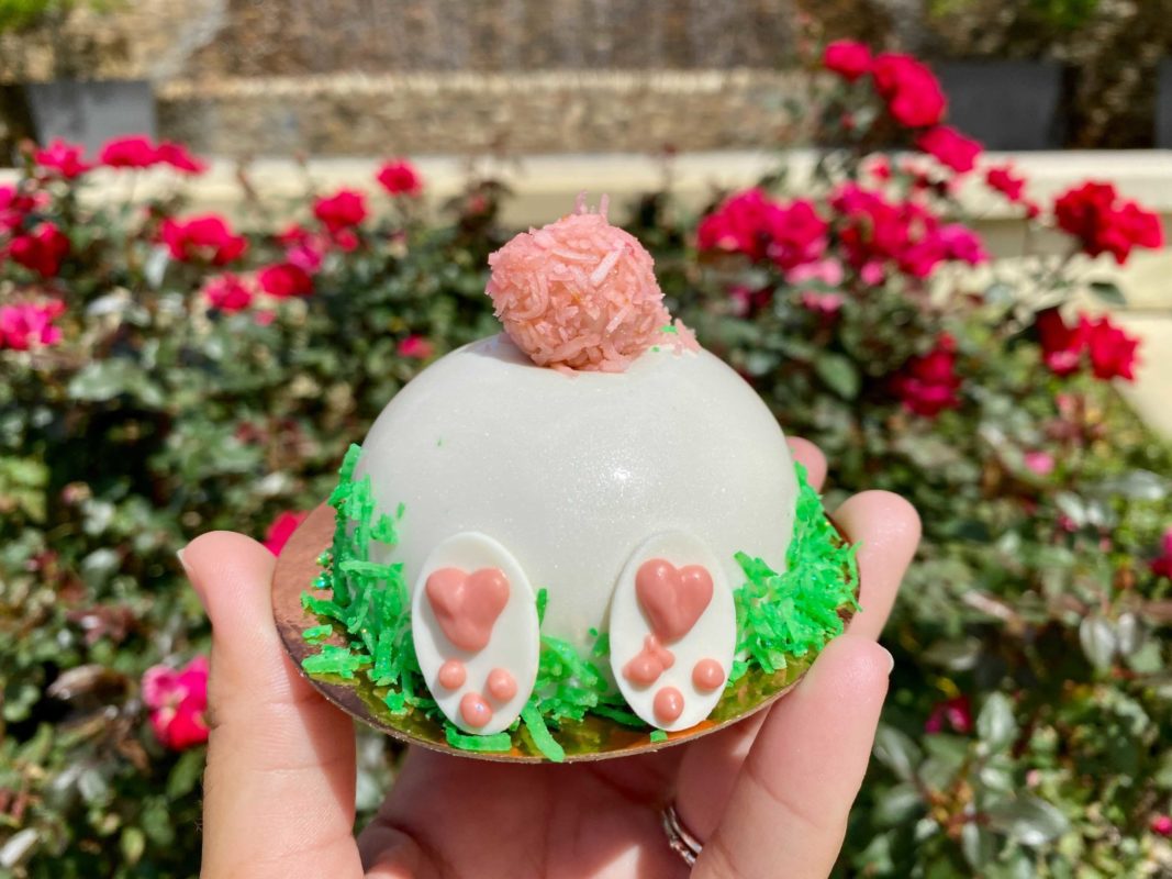 amorette's bunny mousse dome