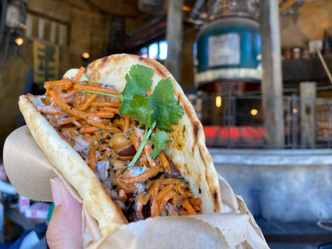 plant-based-rontu-wrap