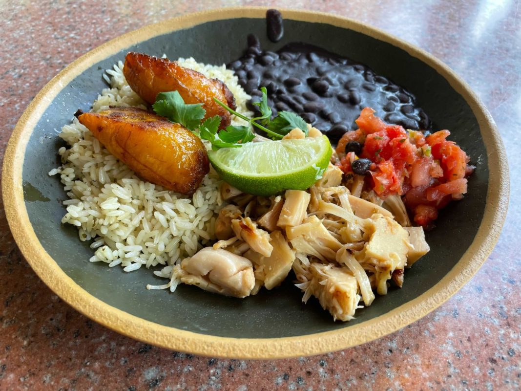 Plant-Based Jackfruit Rice Bowl at Thunder Falls Terrace in Universal's Islands of Adventure
