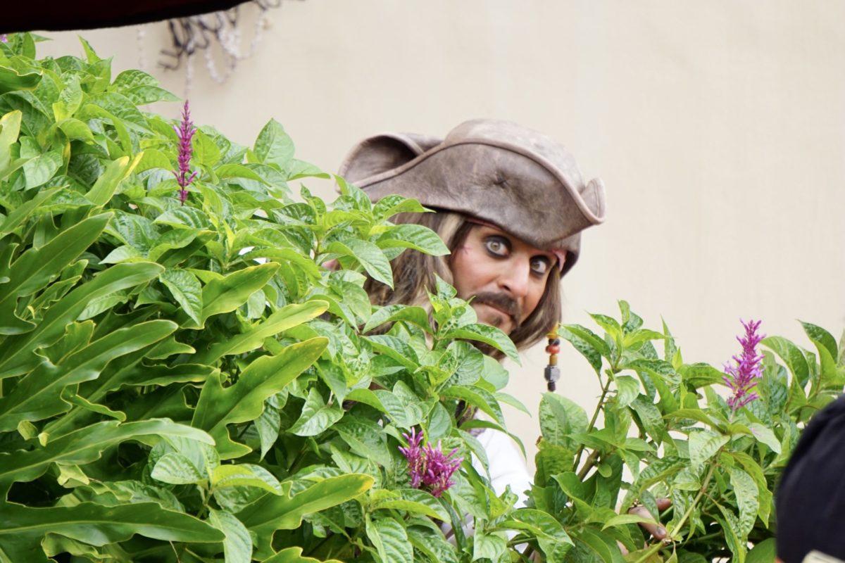 jack-sparrow-playing-featured-image-hero-magic-kingdom-03292021-7926120