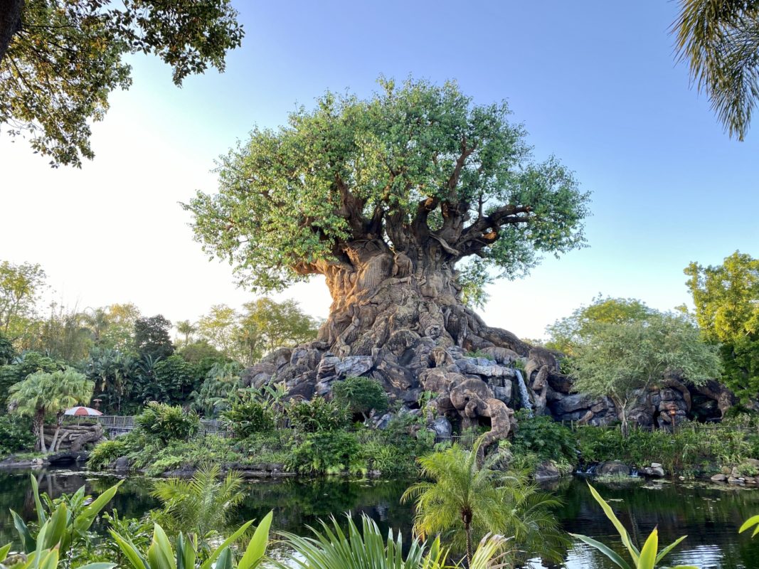 tree-of-life-featured-image-hero-animal-kingdom-03192021-1289592