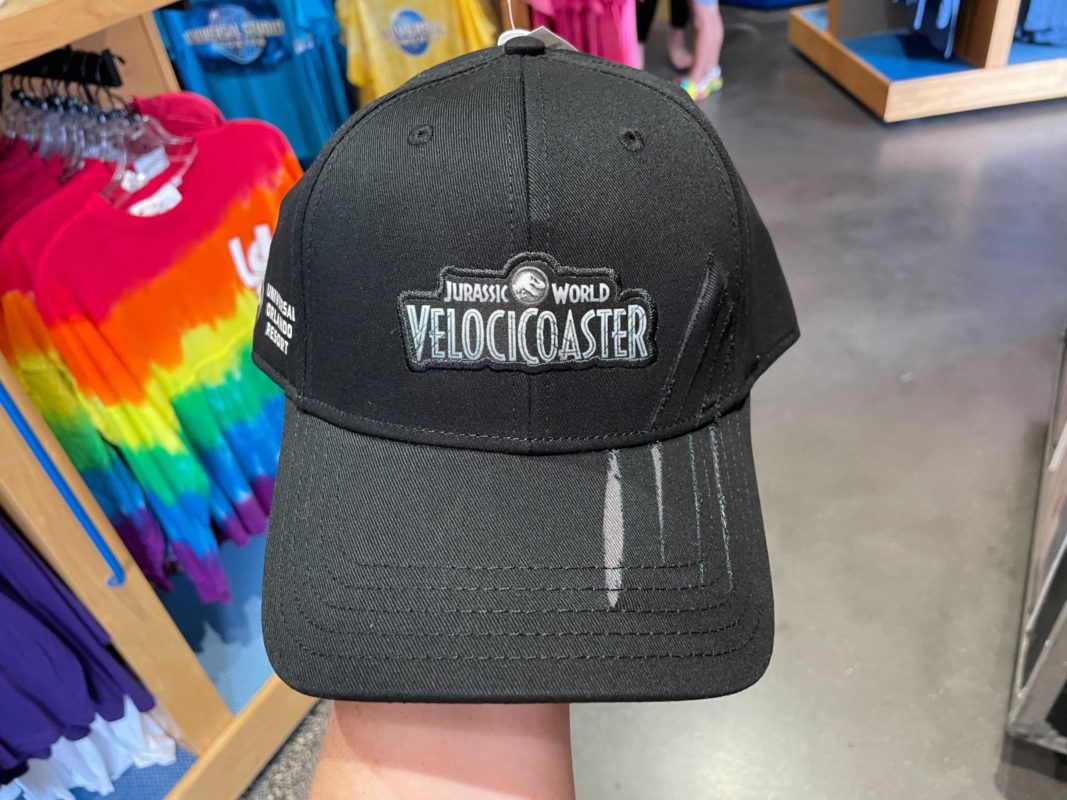 velocicoaster-hat-8-4045347