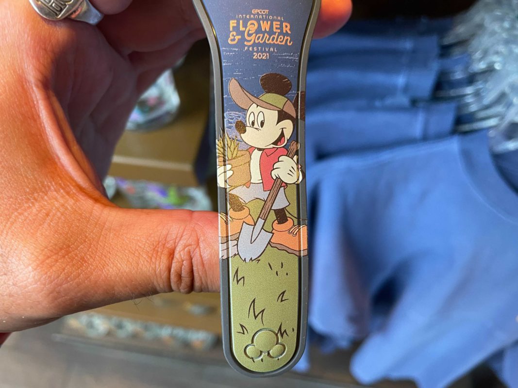 ap-flower-garden-magicband-3