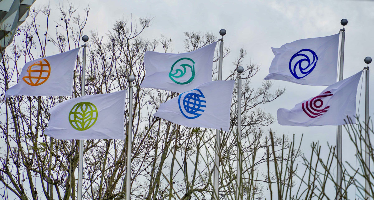 epcot-flags-1-7596857