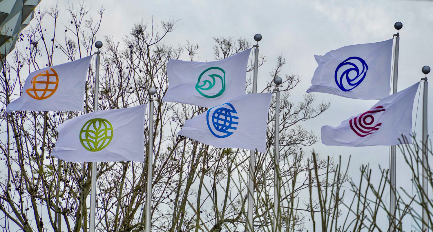 epcot-flags-1-7596857