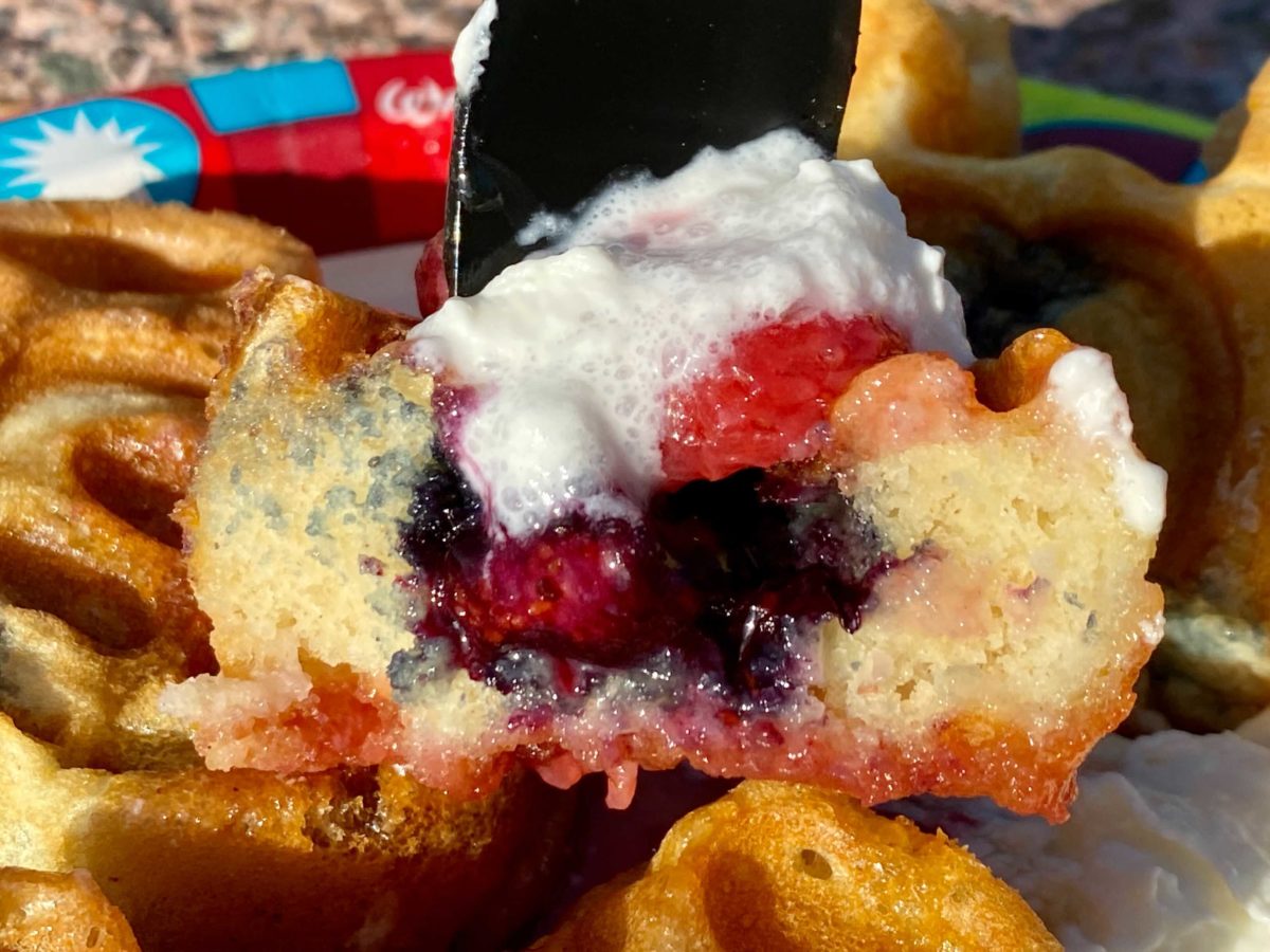 hollywood-scoops-waffles-2-2-2