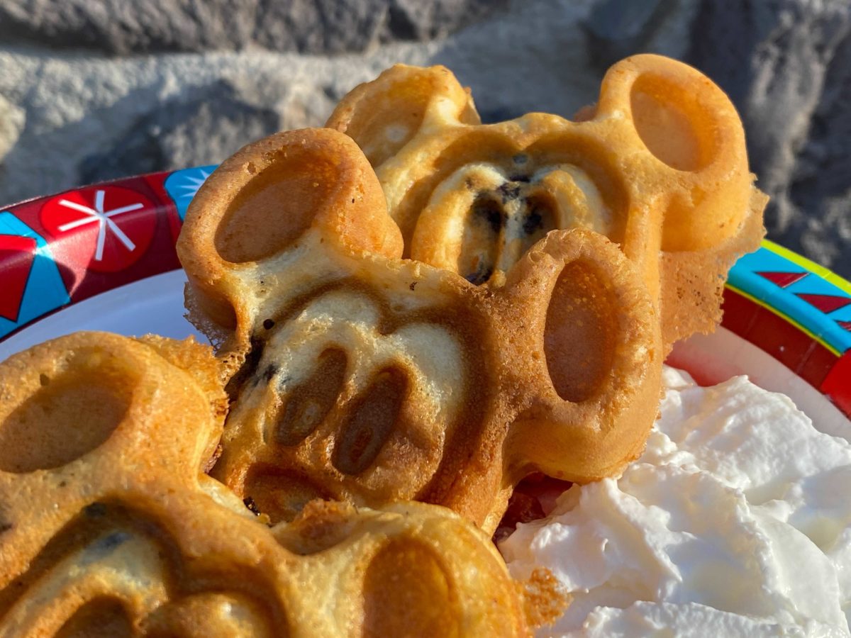 hollywood-scoops-waffles-2