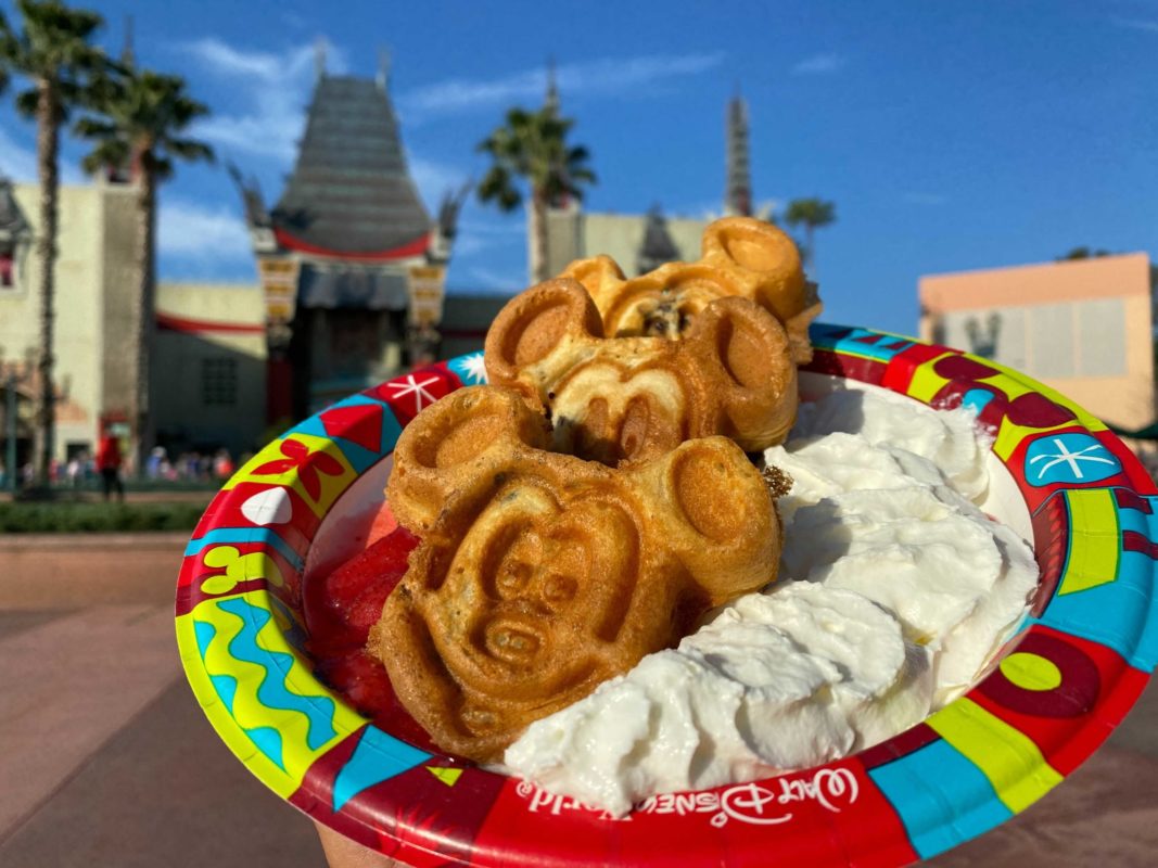 hollywood-scoops-waffles-22