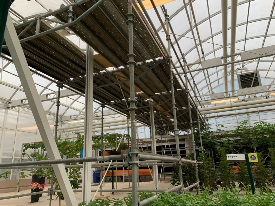 living-with-the-land-scaffolding-8