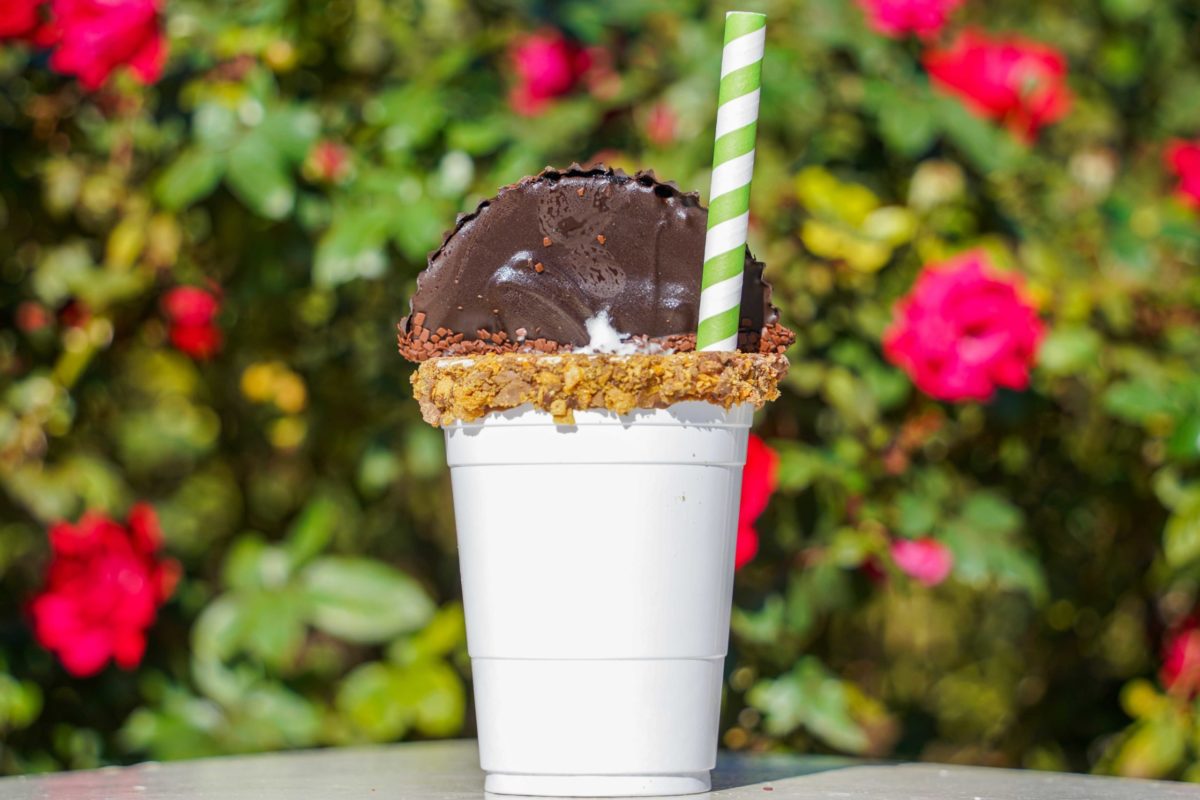 peanut-butter-chocolate-milkshake-54