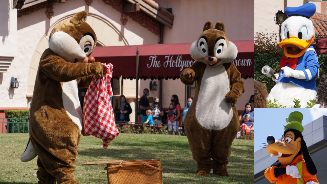 studiosmeetandgreetspicnic