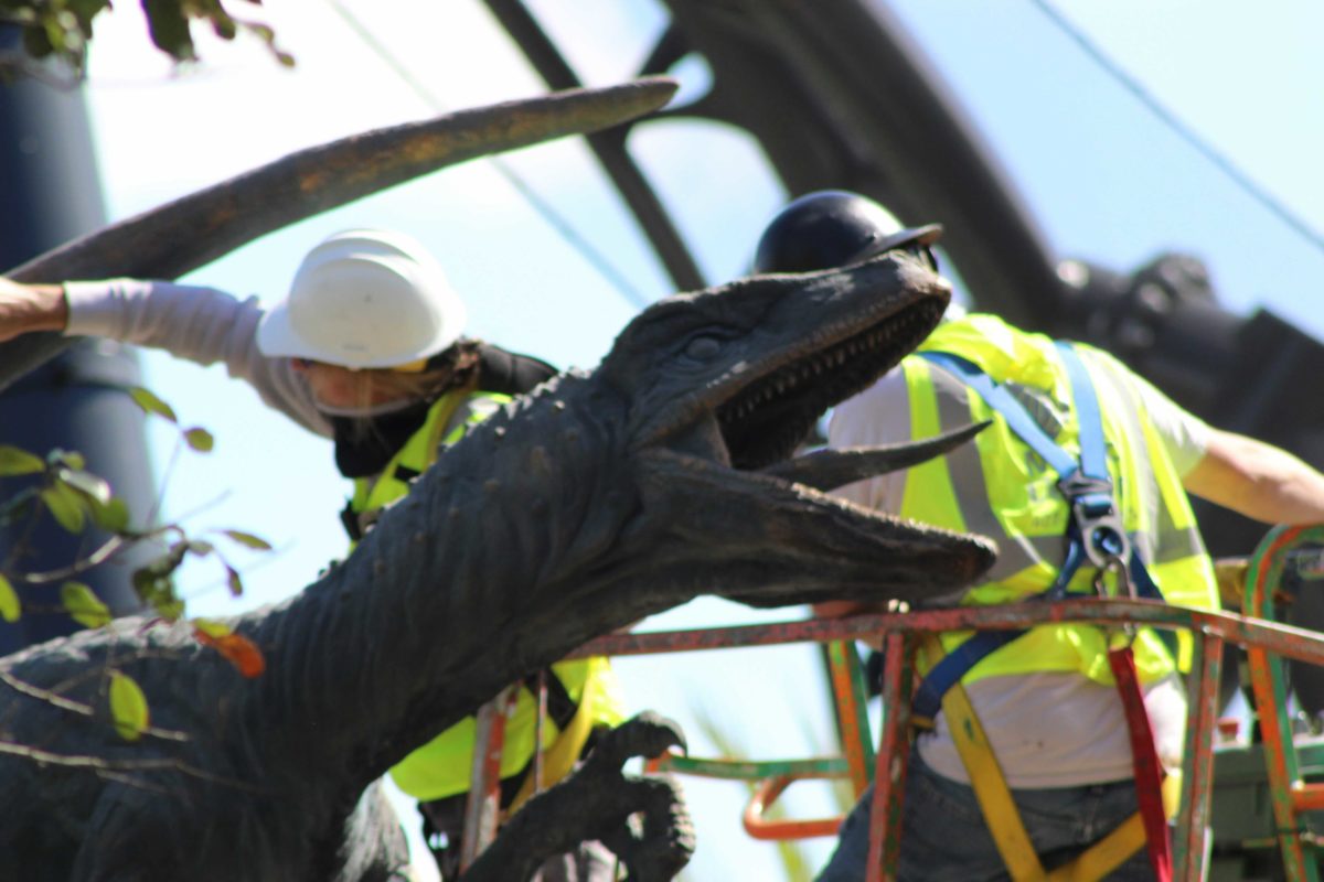 universal-orlando-photo-report-3-10-21-44-5172800