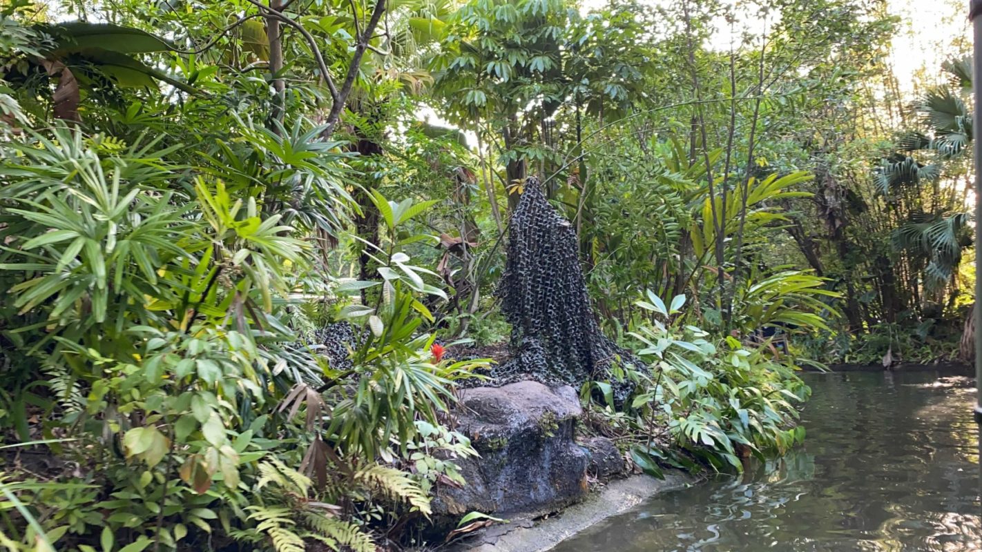 netting-over-trader-sam-at-magic-kingdom-jungle-cruise-3-1043306