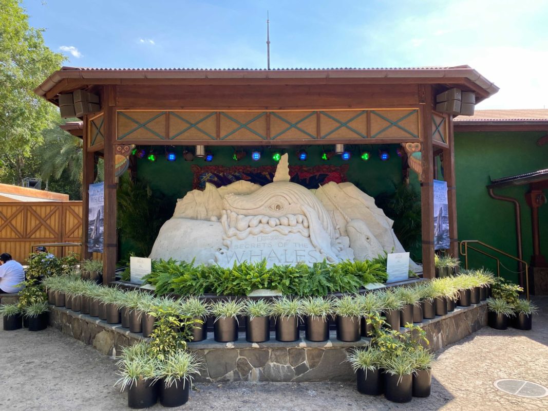 secrets-of-the-whales-display-2-6339706