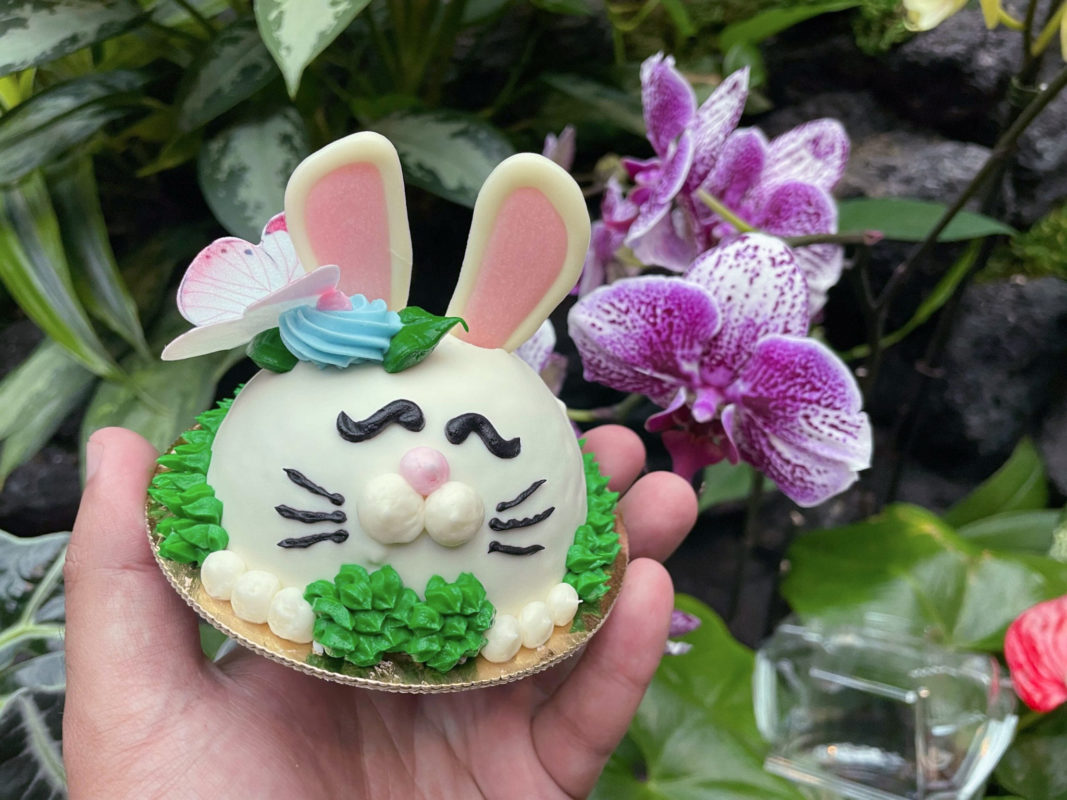 bunny-dome-cake-3348741