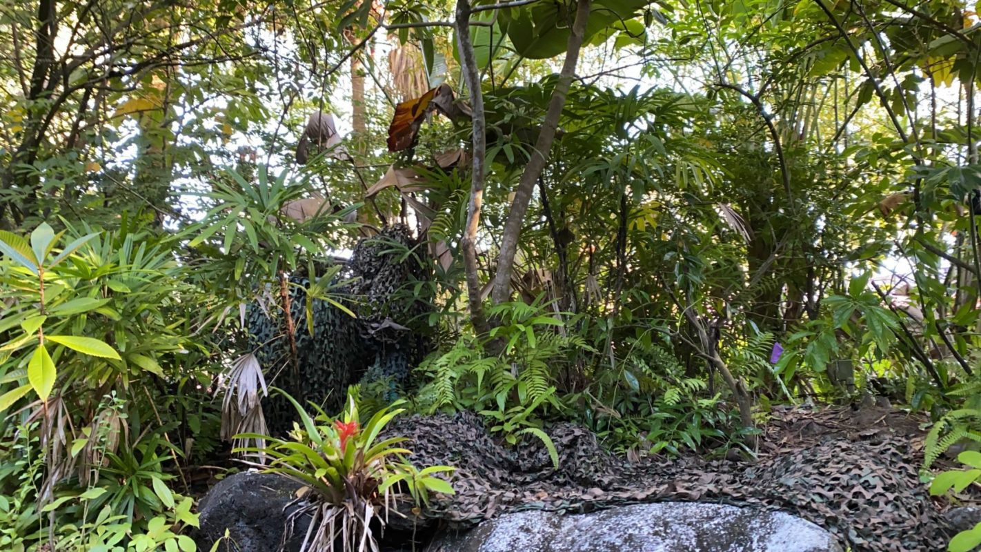 jungle-cruise-trader-sam-removed-2-9764270