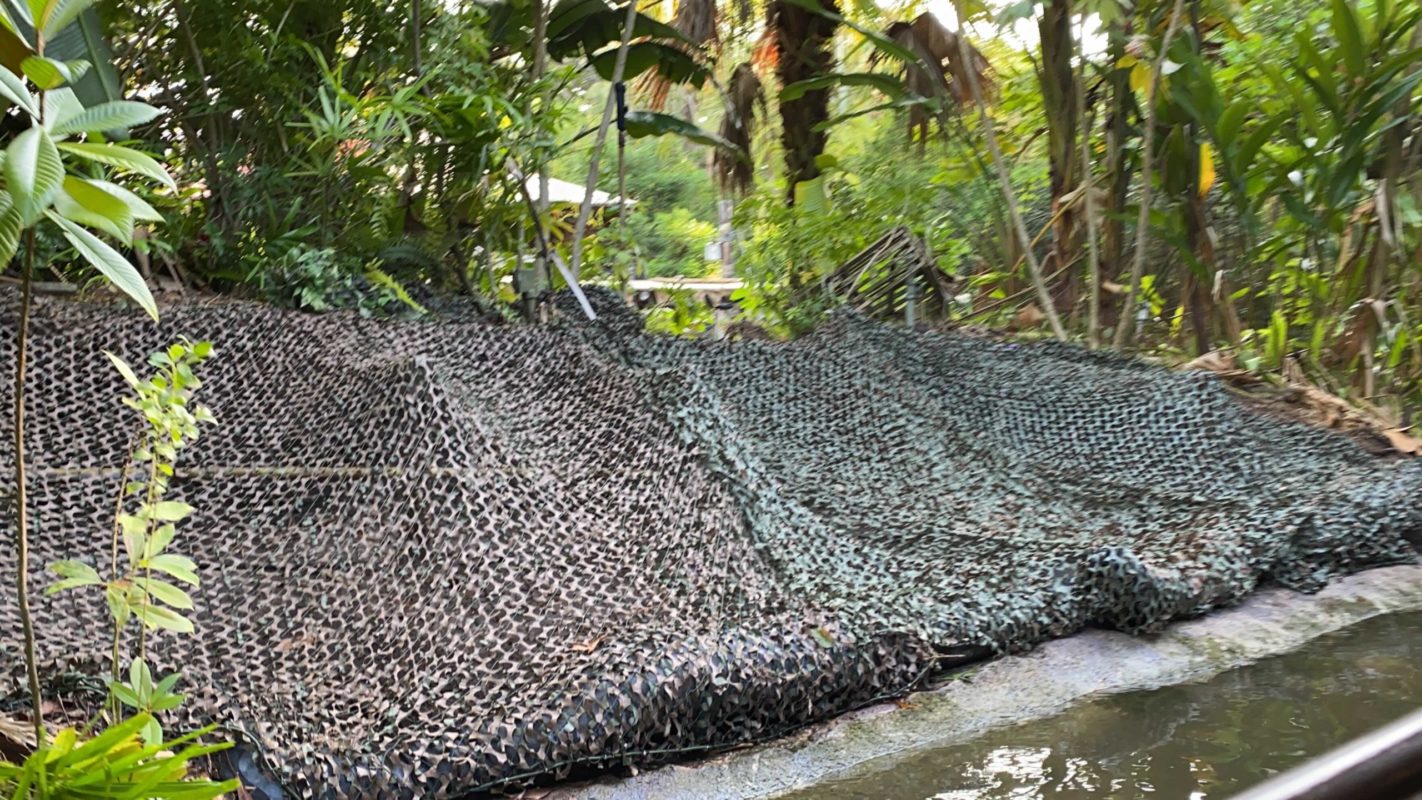 jungle-cruise-trader-sam-tarp-8619490