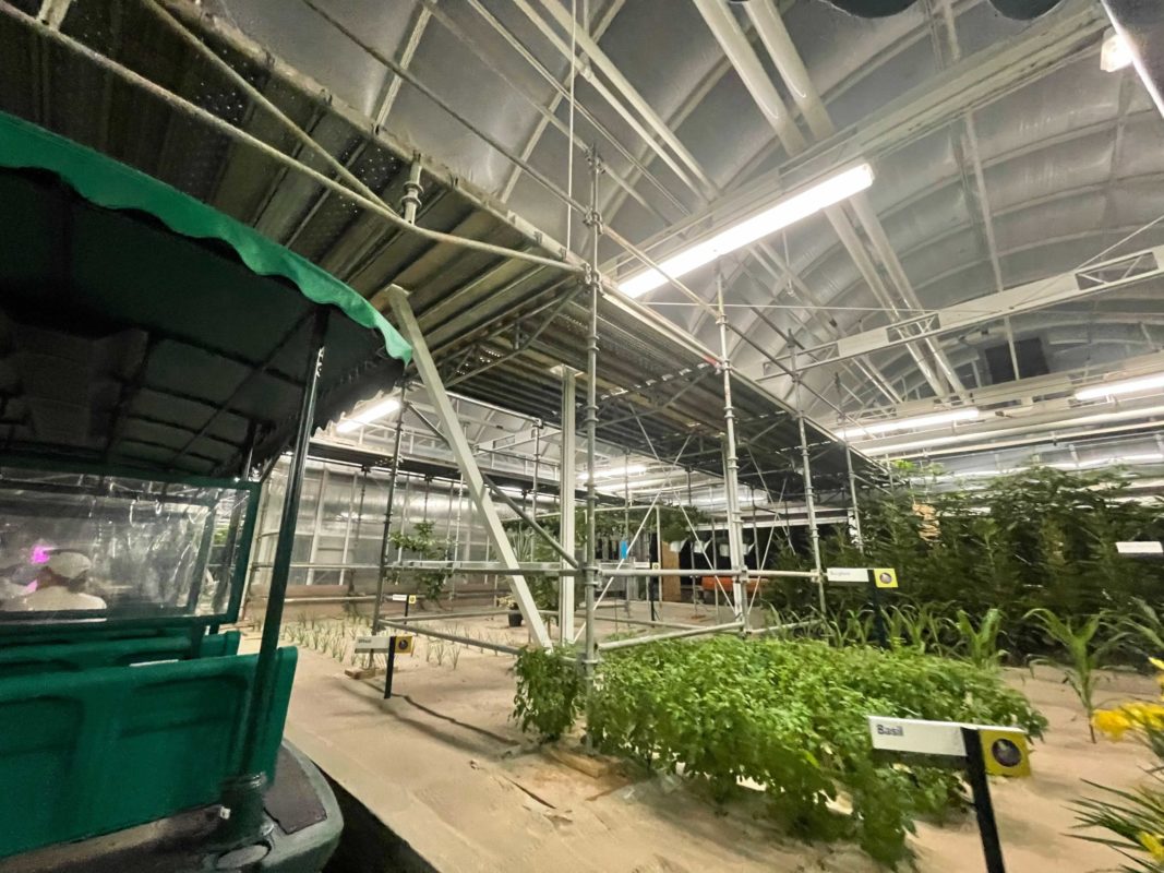 living-with-the-land-scaffolding-epcot-10