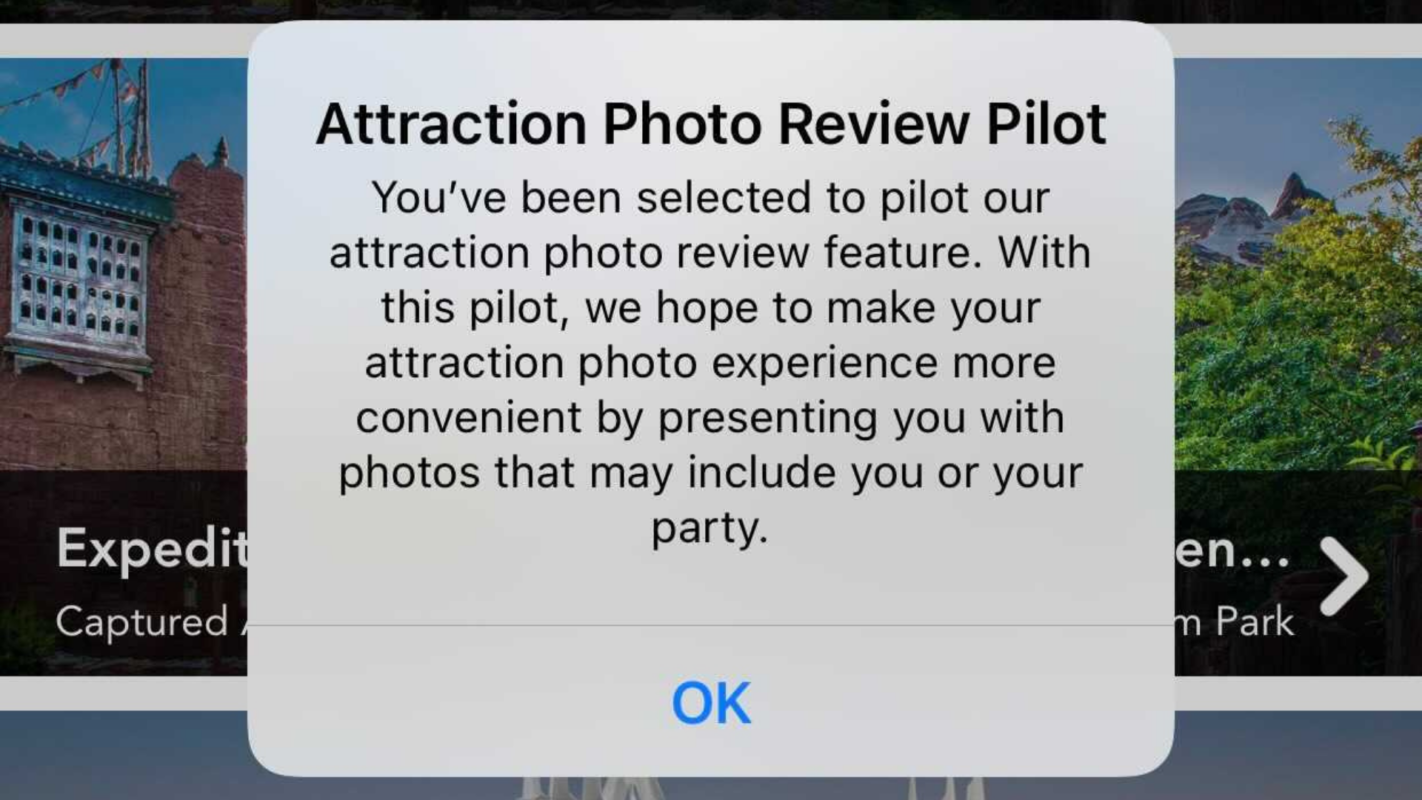mdx-attraction-photo-preview-pilot