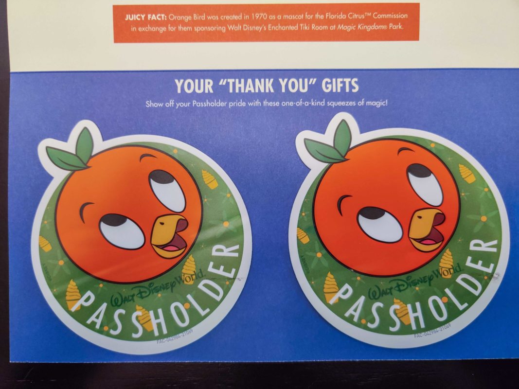 orange-bird-magnets-525