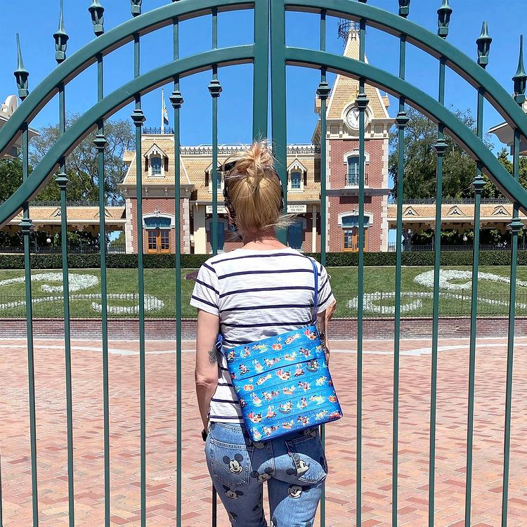 play-in-the-park-harveys-bag-photo-2676038