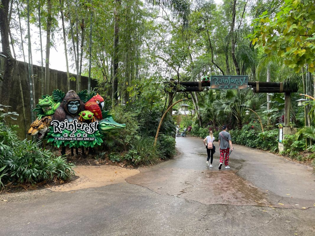 rainforest-animal-kingdom-entrance
