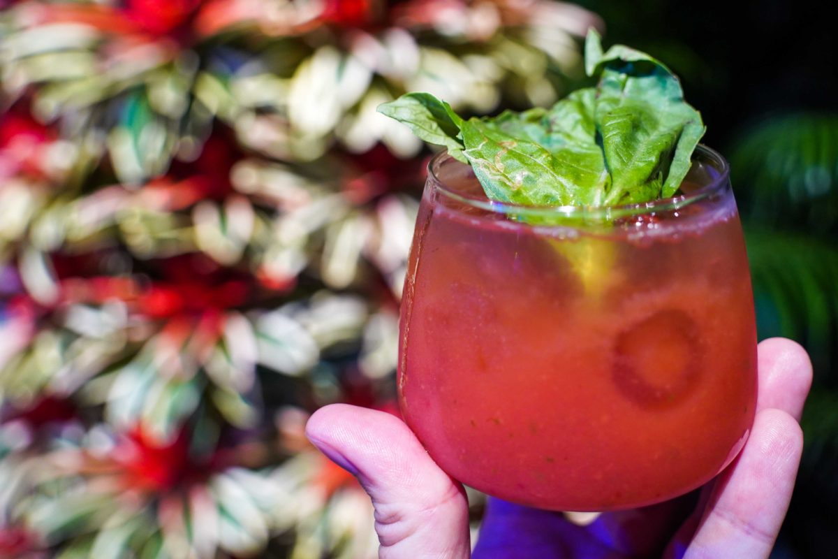 strawberry-basil-cocktail-47