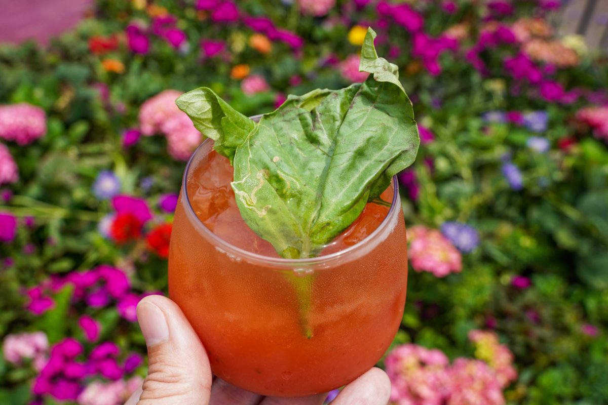 strawberry-basil-cocktail-63