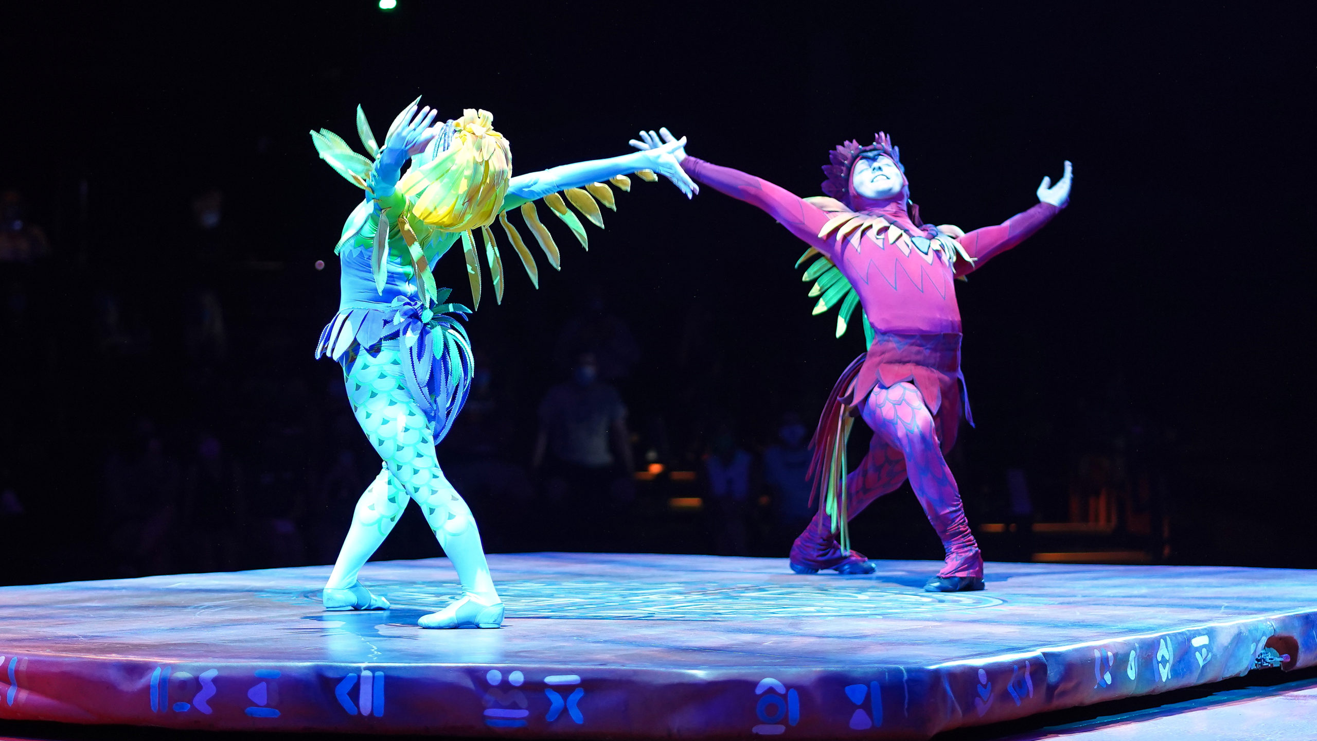 a-celebration-of-festival-of-the-lion-king-5-8-21-4-8256207