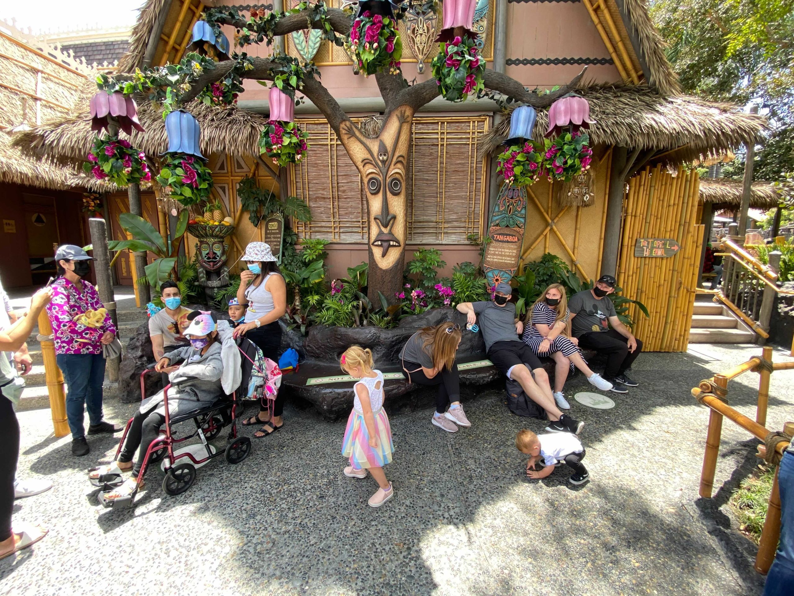 disneyland-enchanted-tiki-room-17