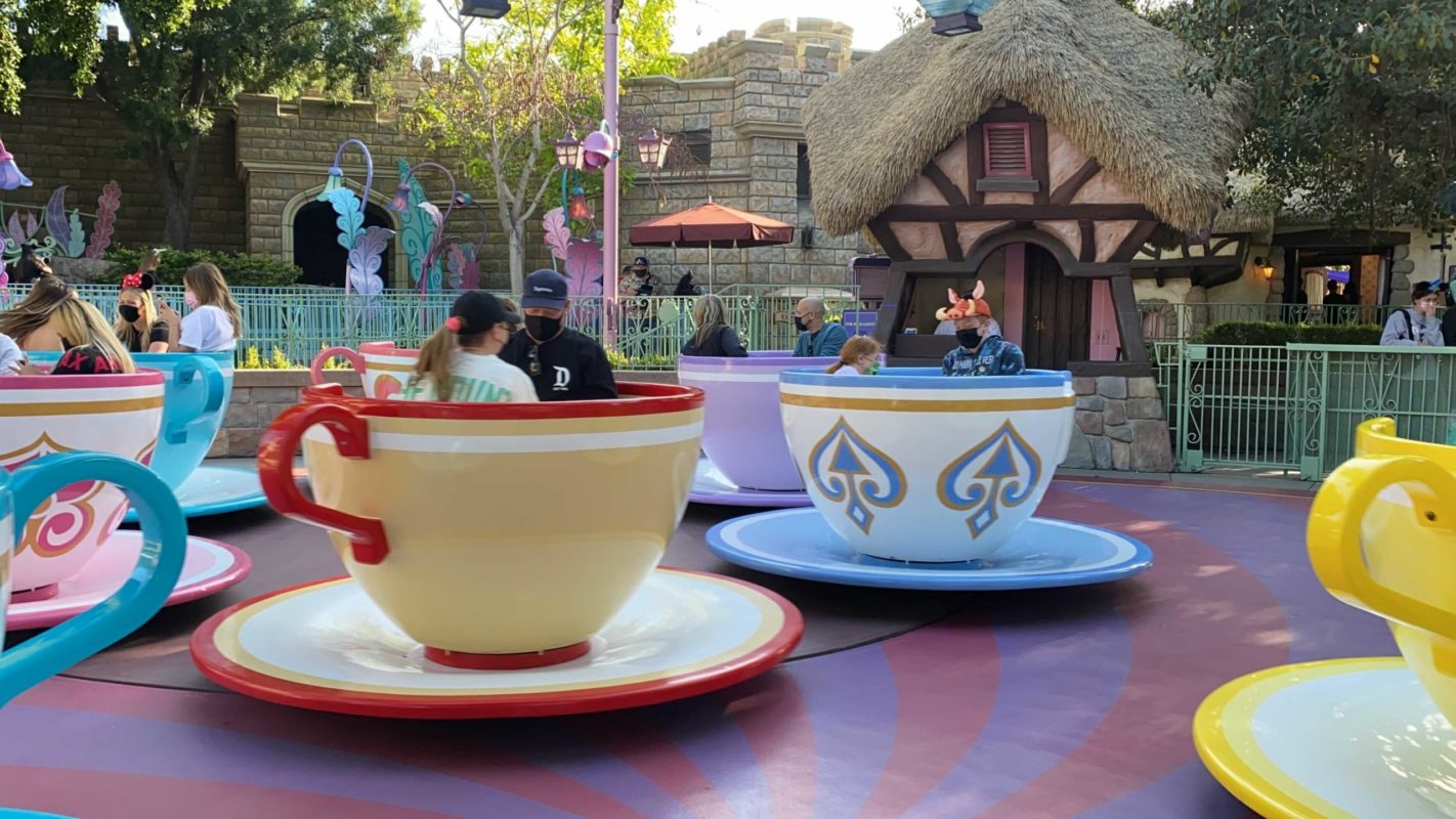 disneyland-mad-tea-party-30