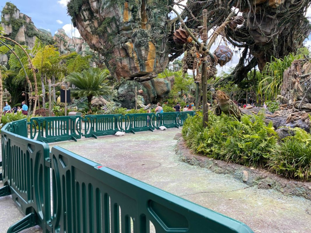 disneys-animal-kingdom-pandora-pavement-repainting-biolumiescence-5-19-21-14-4121874