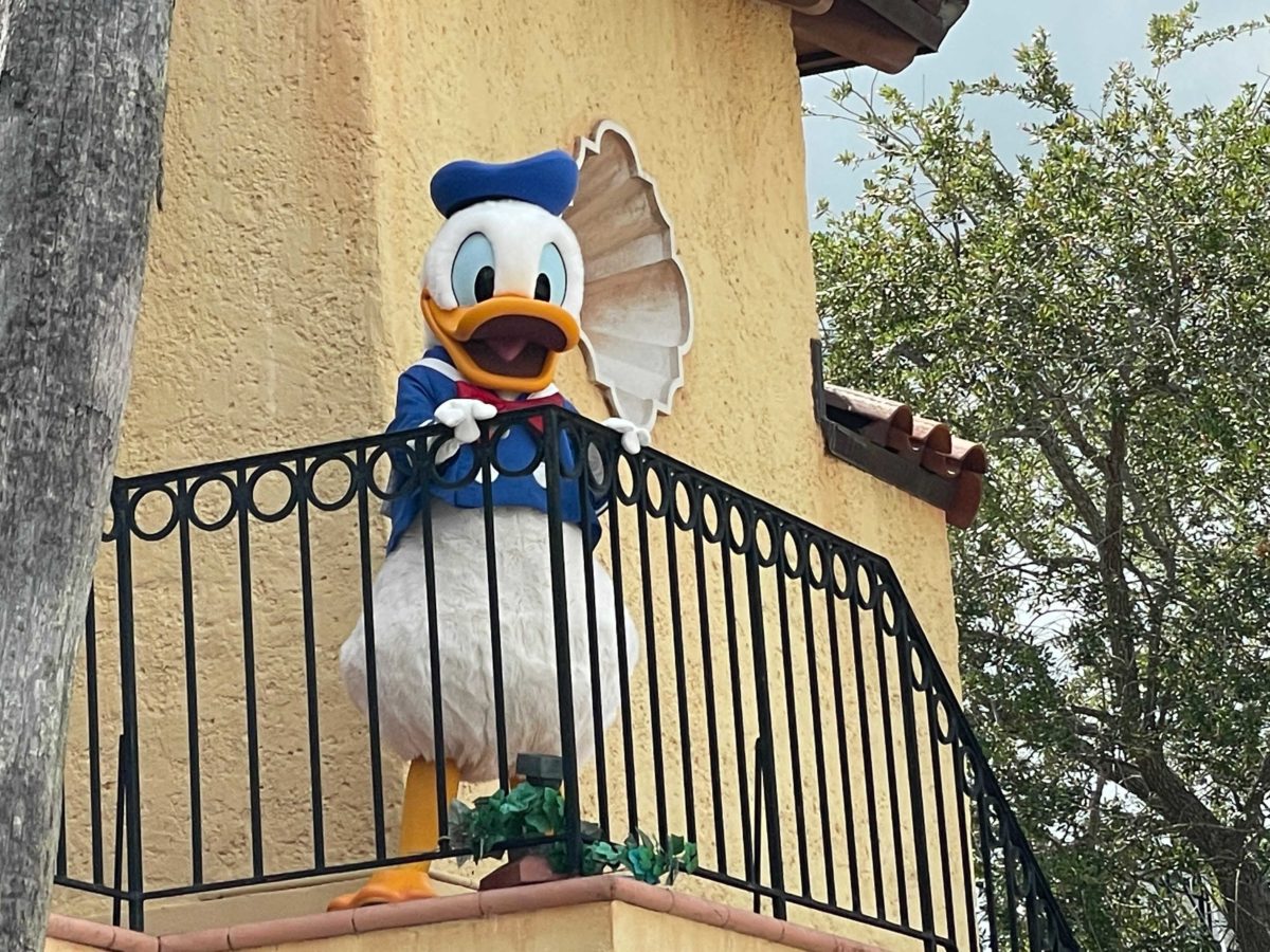 donald-and-daisy-duck-distanced-meet-and-greet-7-1910145