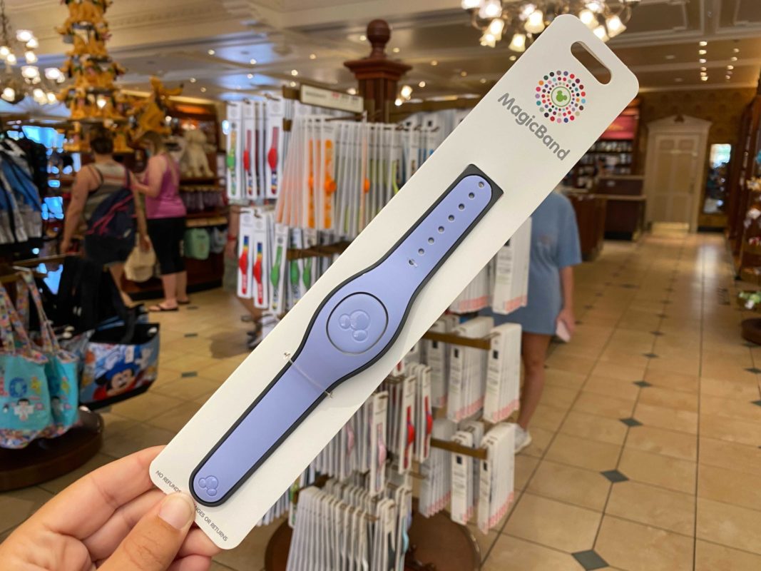 hydrangea-magicband-8-5780081