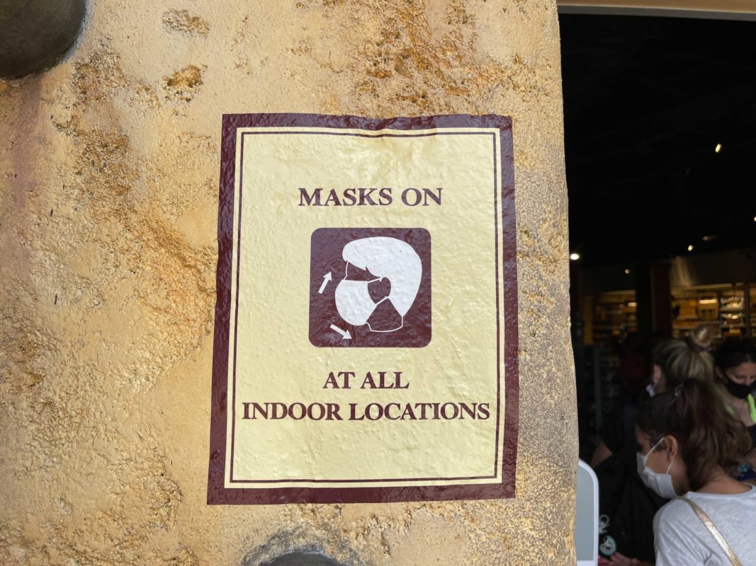 image-from-ios-1-7032279