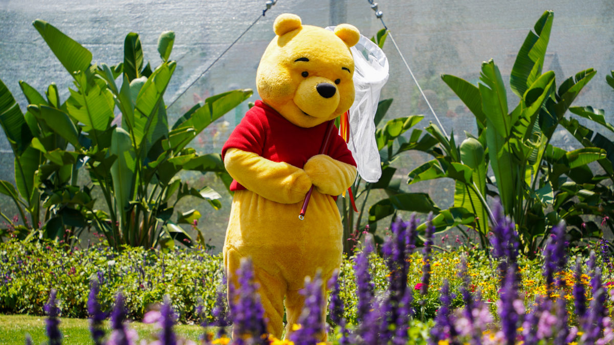 Winnie the Pooh next to butterfly house