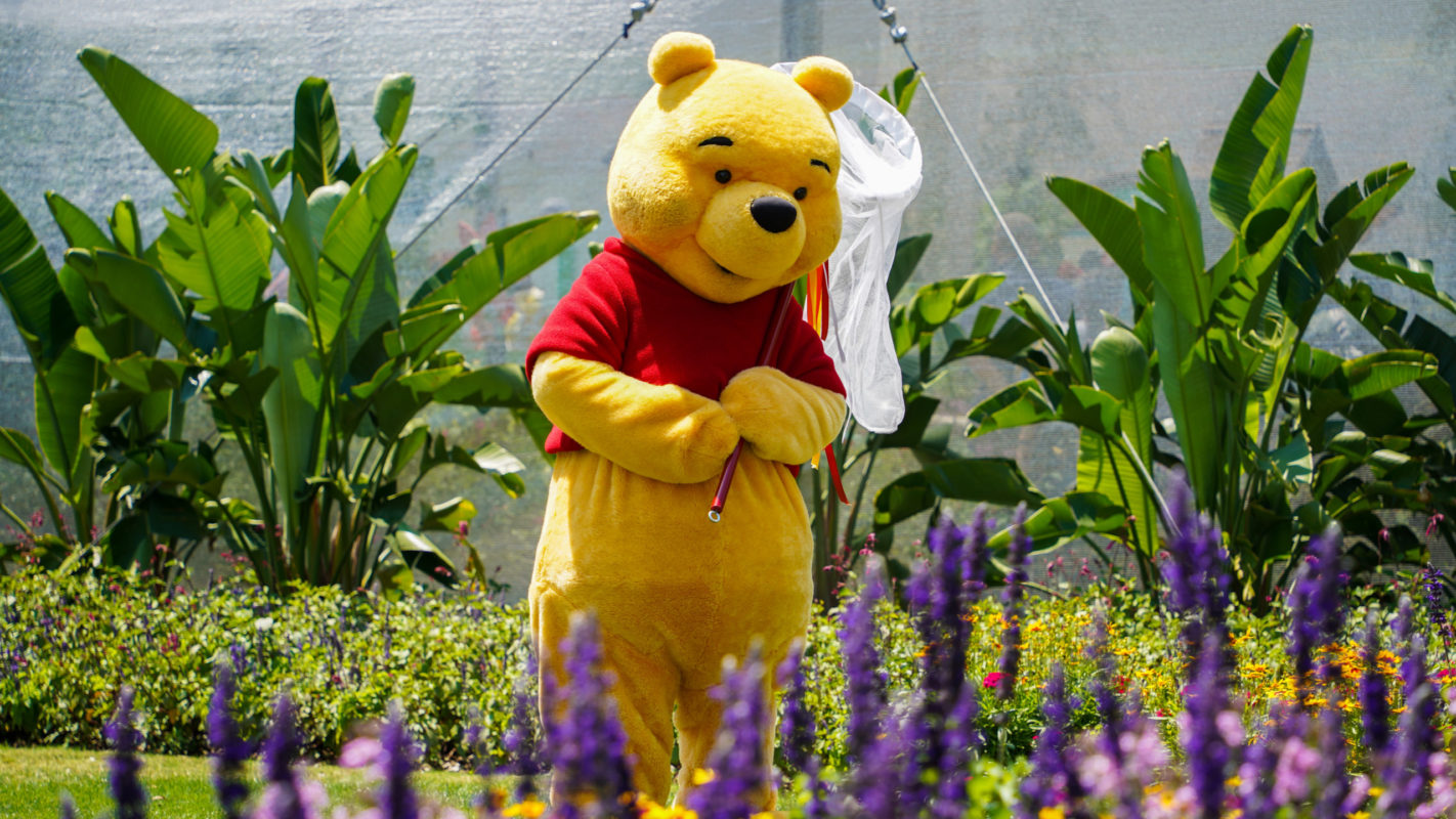 Winnie the Pooh next to butterfly house