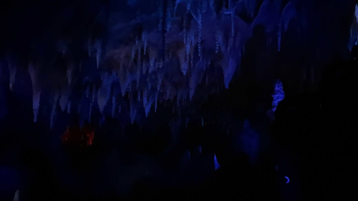 big-thunder-mountain-disneyland-reopen-38