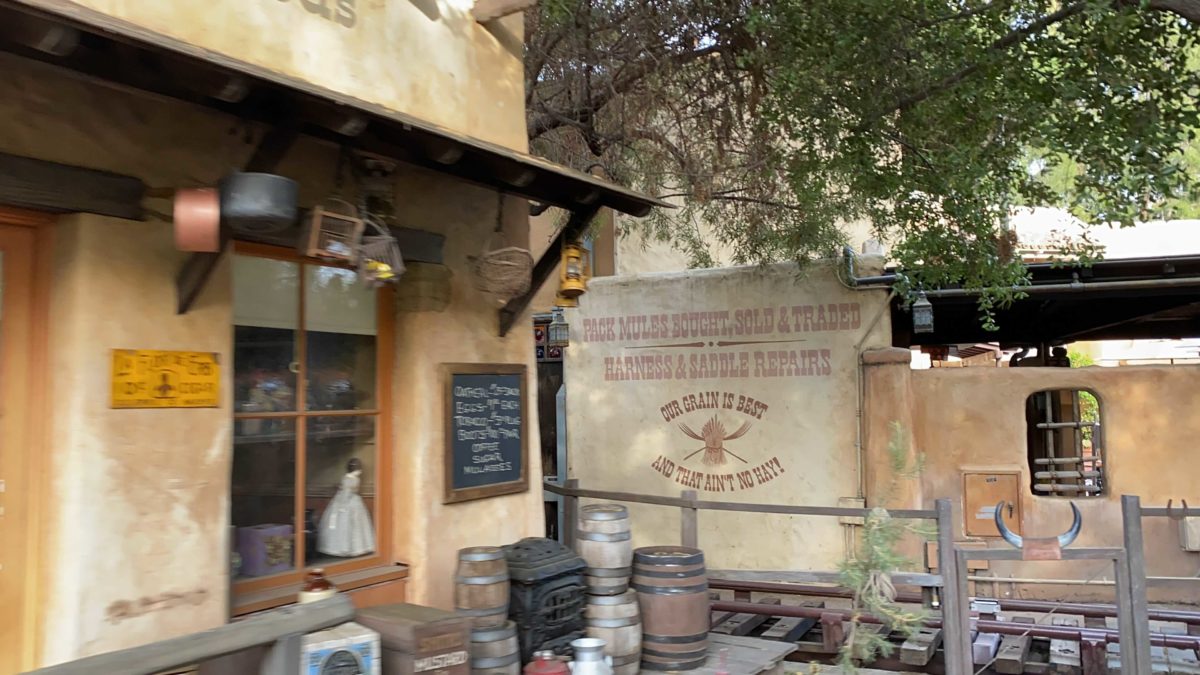 big-thunder-mountain-disneyland-reopen-51