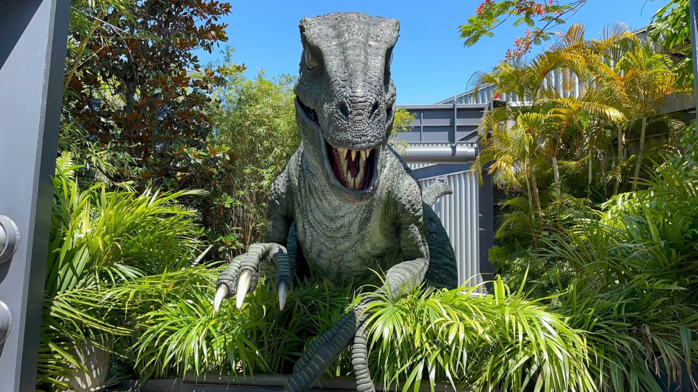 bravo-raptor-encounter-5