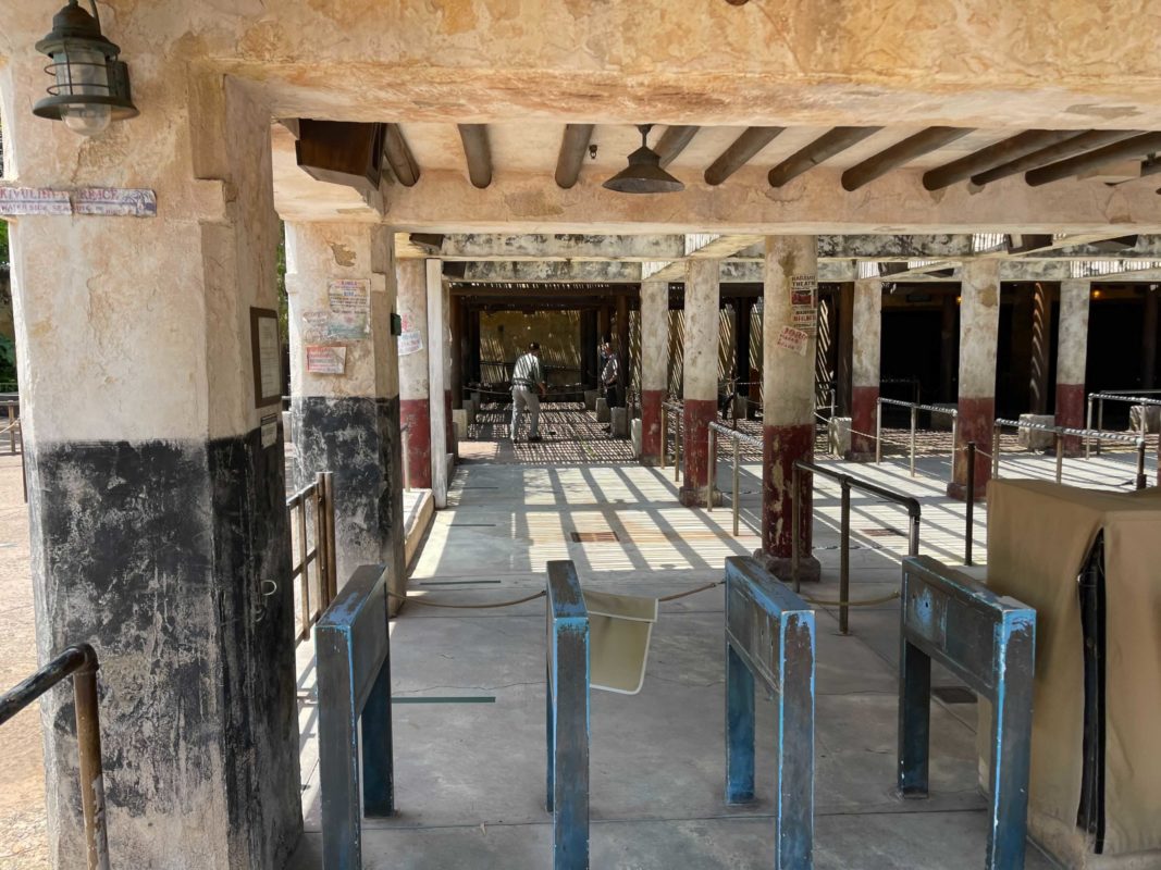 festival-of-the-lion-king-preparations-1