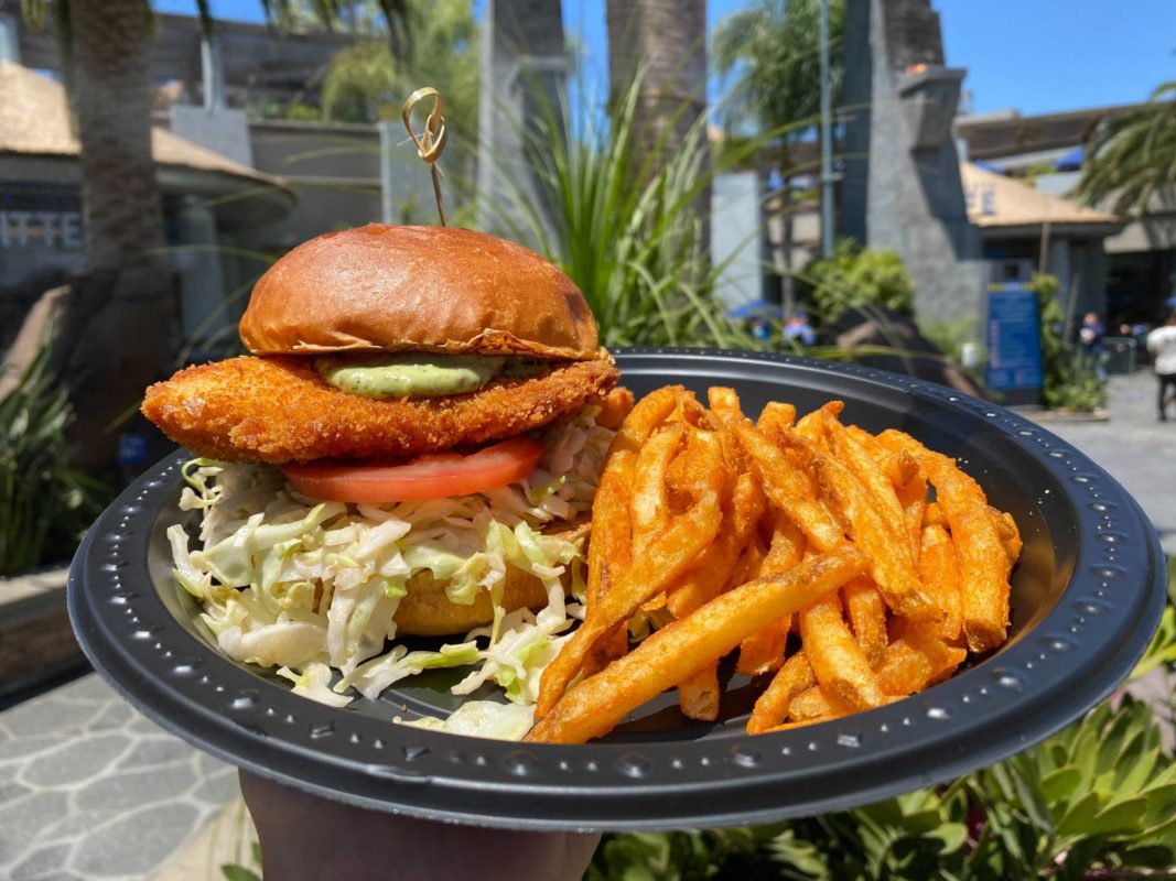 isla-chicken-sandwich-4