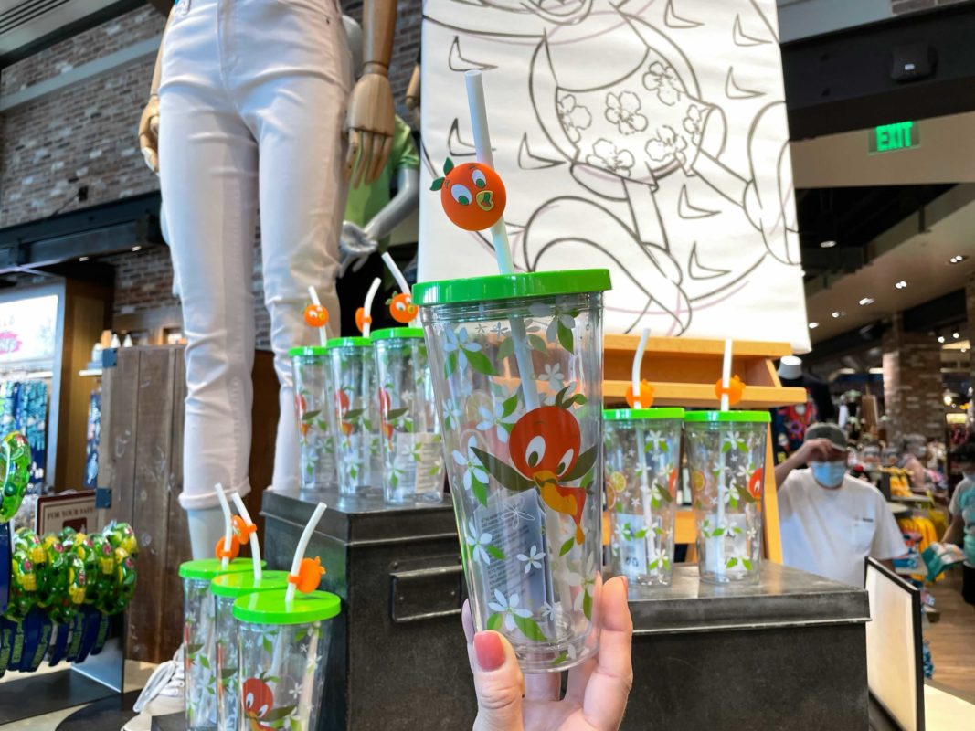 orange-bird-sipper-3-7829672