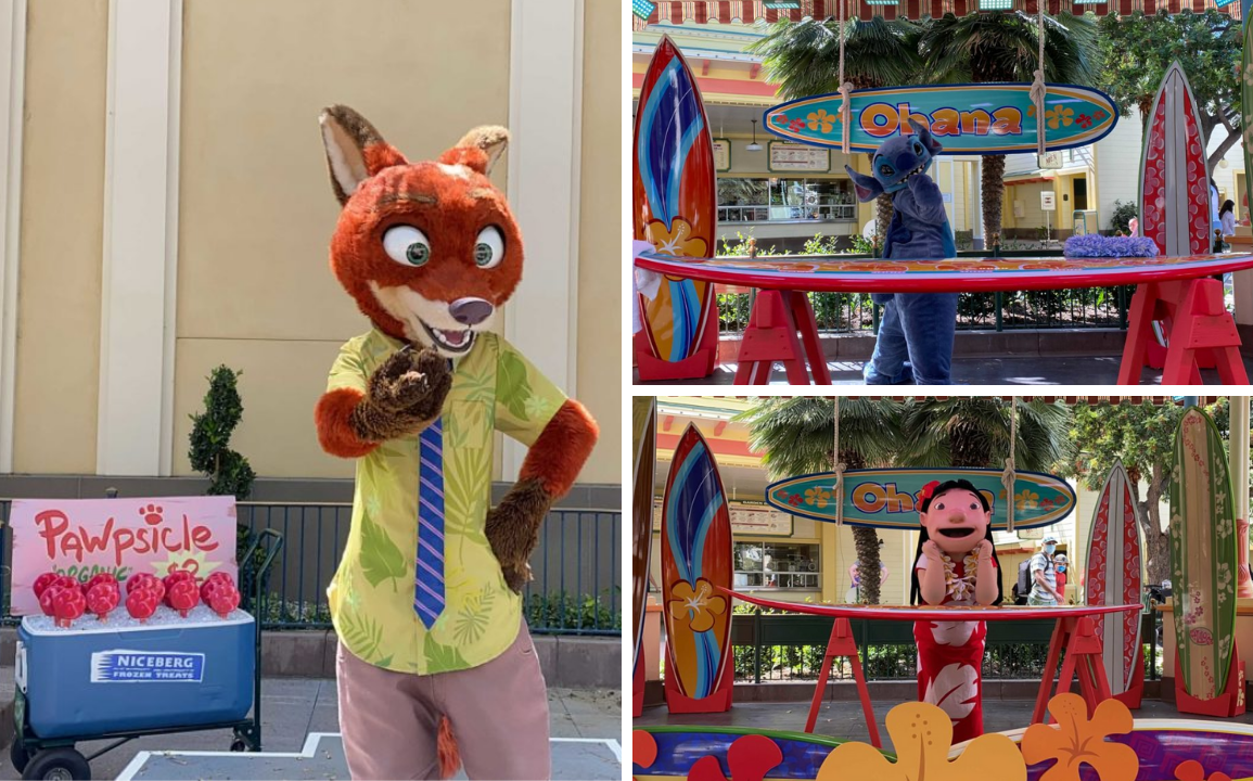 paradise-gardens-park-distanced-meet-and-greets-featured-7489154