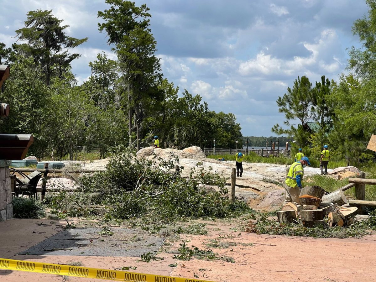 wilderness-lodge-tree-removal-15